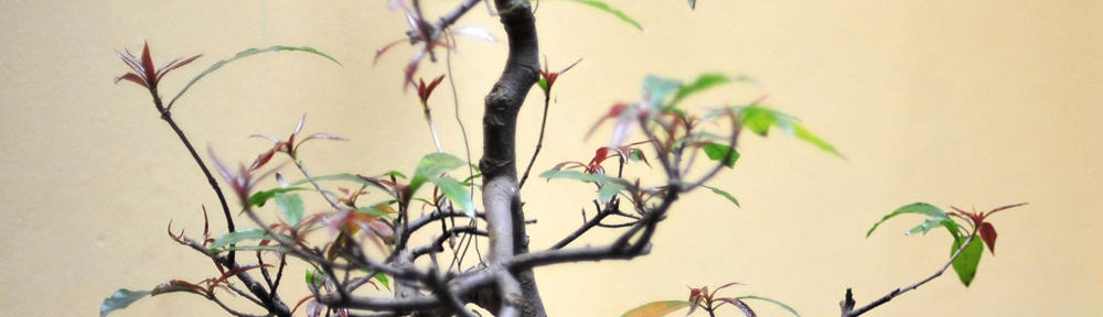 Moon and Sixpence Theater